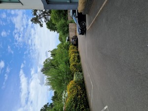 Image 2 thumbnail